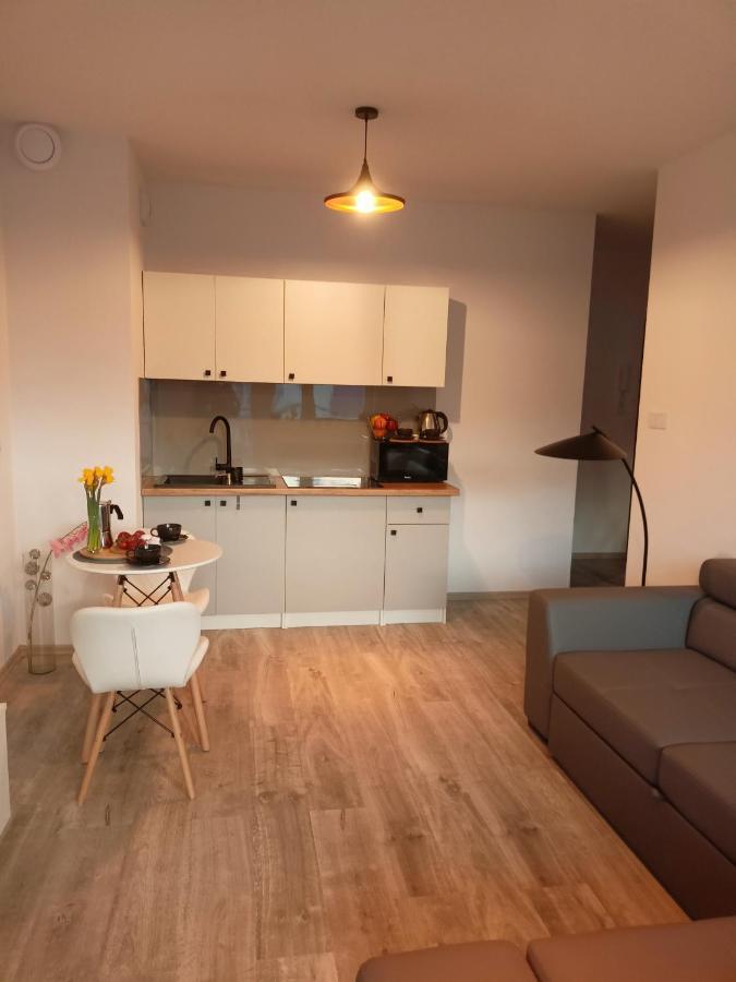 Apartament Z Sauna I Jacuzzi Appartement Radom Buitenkant foto